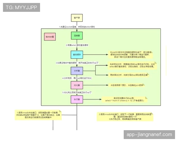 个人表现与团队成绩：B费的生涯评估