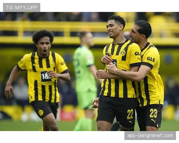 卡马文加与贝林厄姆：防守型与进攻型中场的角色分野与功能差异解析